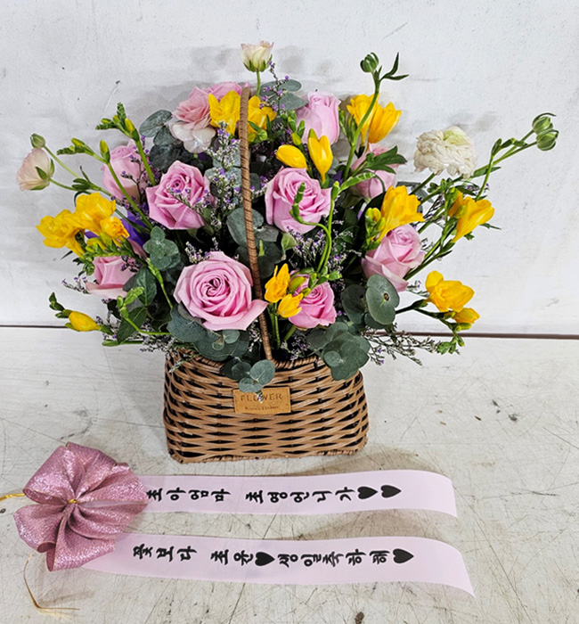 ST-C521