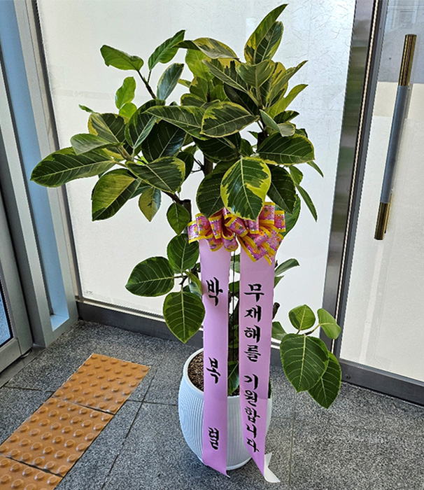 ST-D707