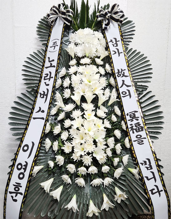 ST-FB233
