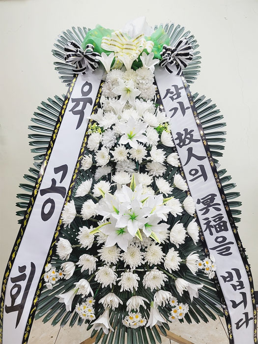 ST-FB233