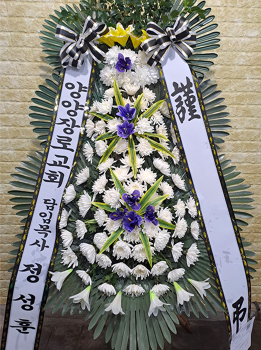 ST-FB142