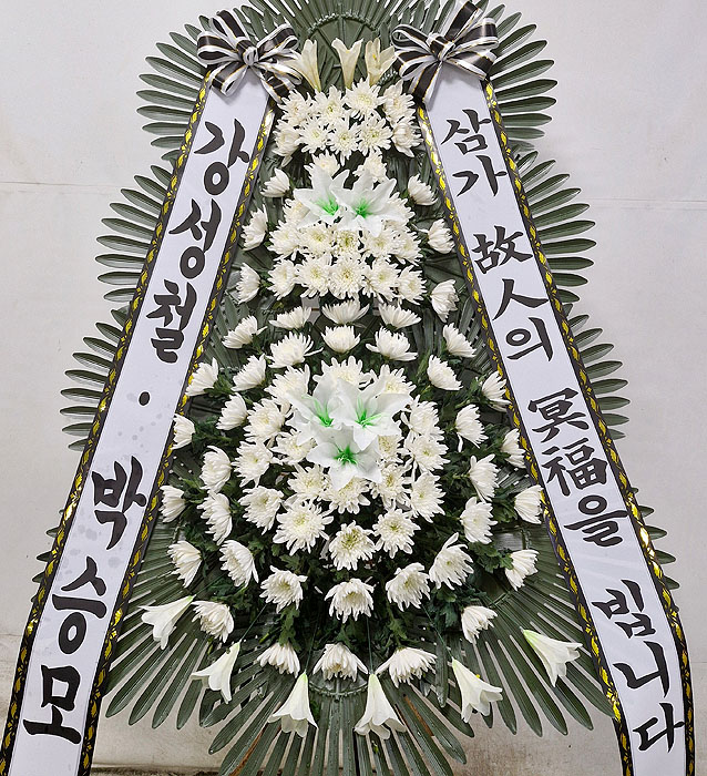 ST-FB233