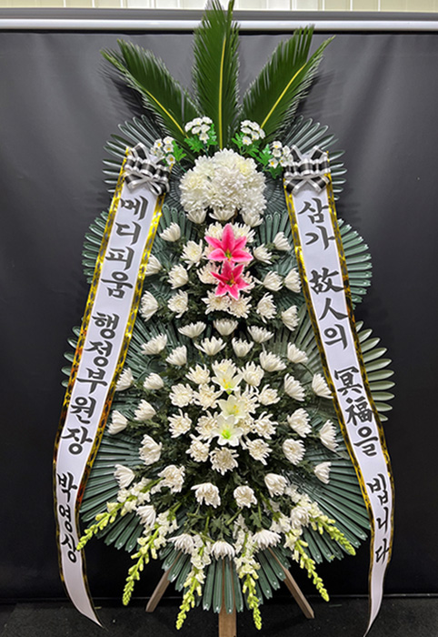 ST-FB141