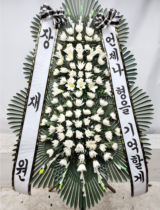 ST-FB233