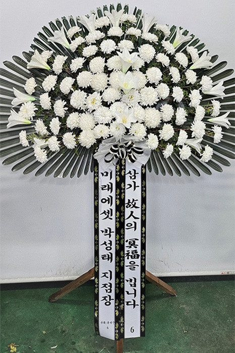 ST-FB261