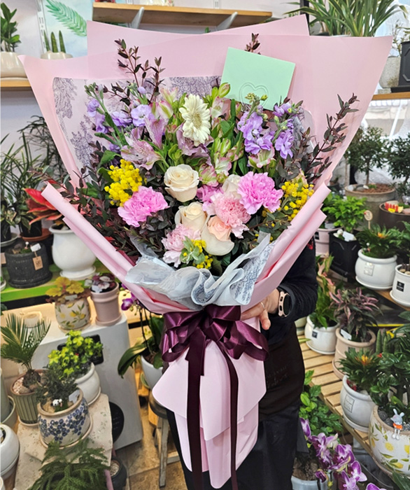 ST-C585