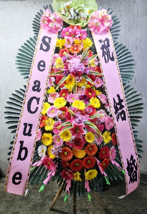 ST-FA064