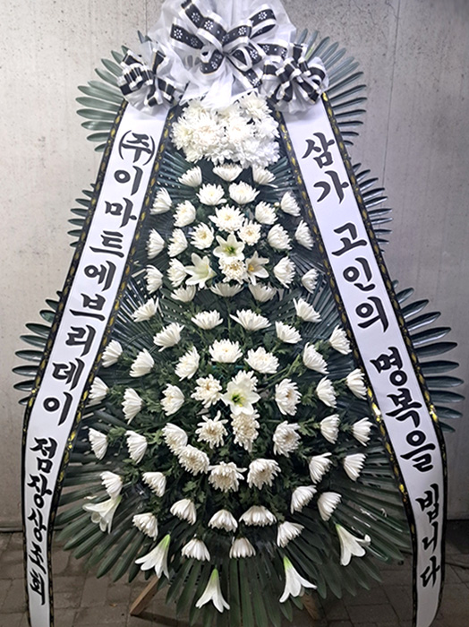 ST-FB226