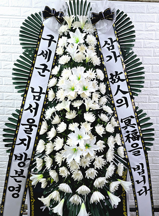 ST-FB233