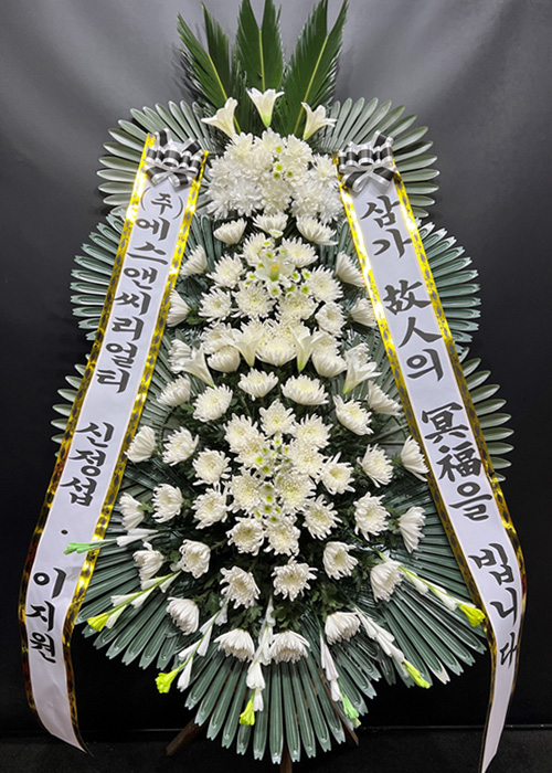ST-FB226