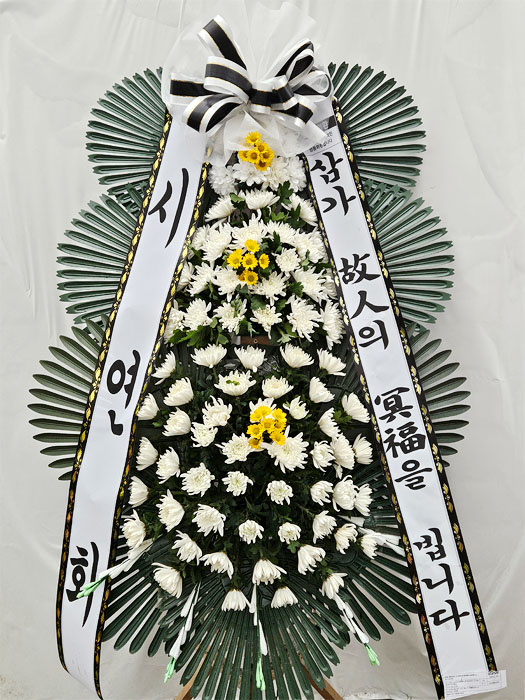 ST-FB154