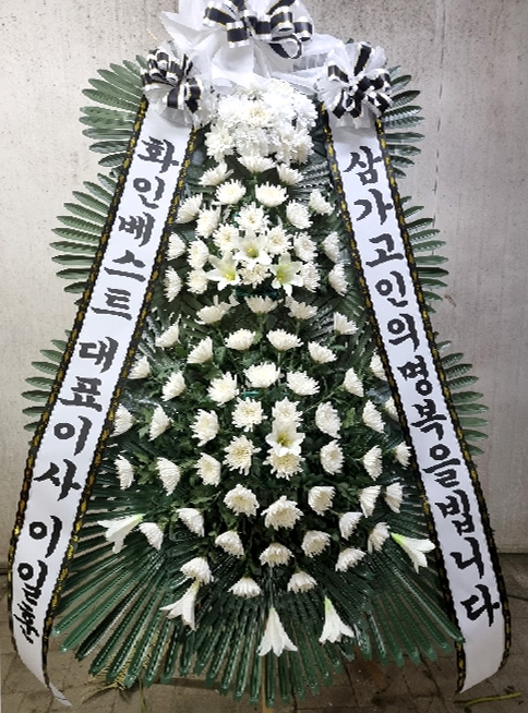 ST-FB233