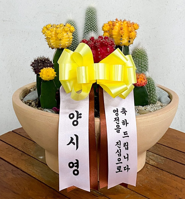 ST-D273