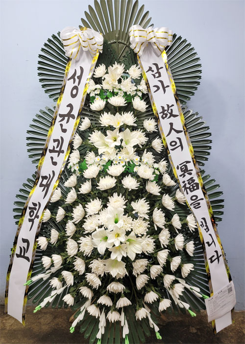 ST-FB226