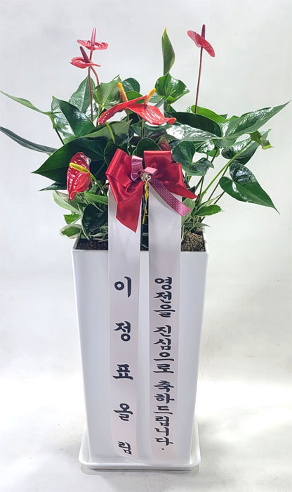 ST-D732