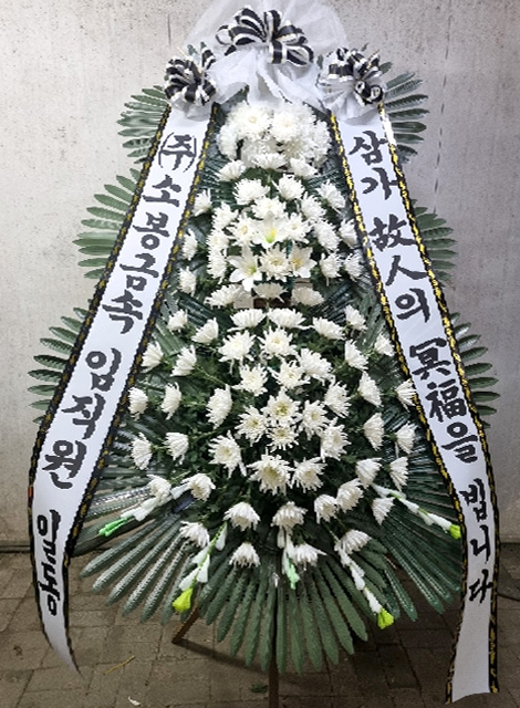 ST-FB233