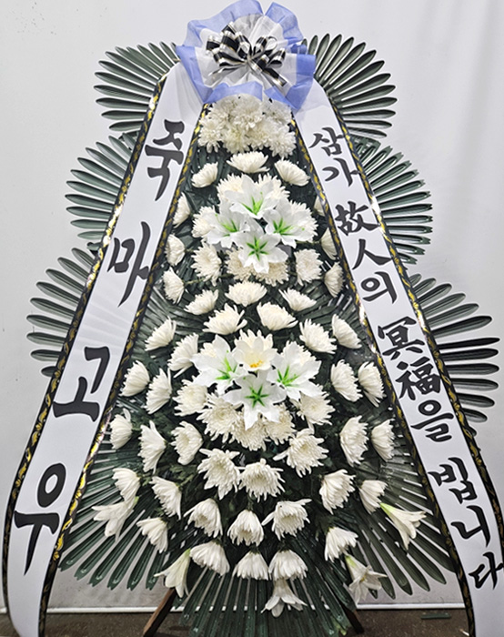 ST-FB226