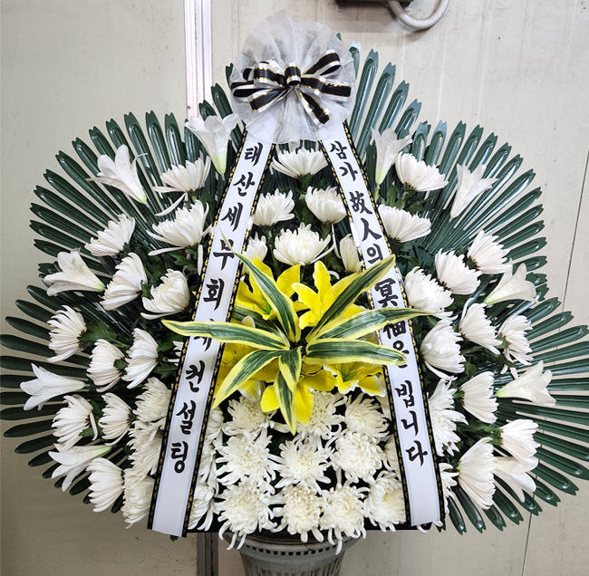 ST-FB252