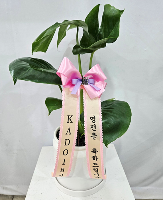 ST-D714