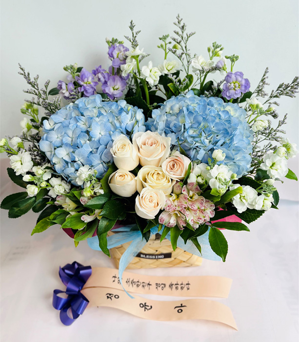 ST-A1661
