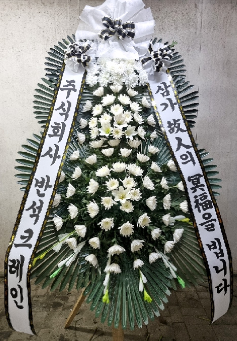 ST-FB233