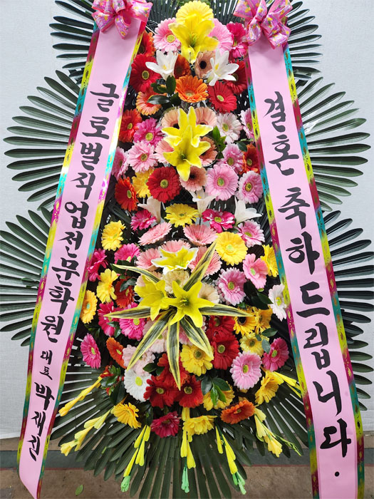 ST-FA248