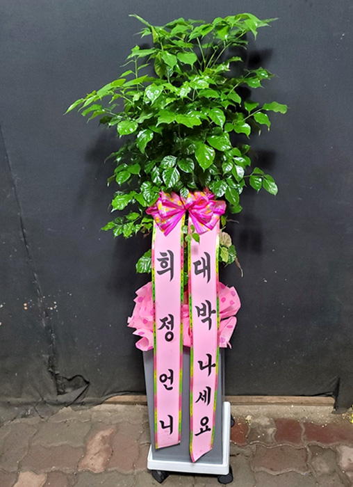 ST-D503