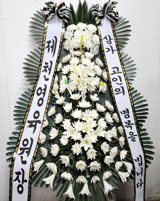 ST-FB233