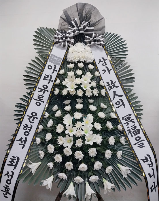 ST-FB233