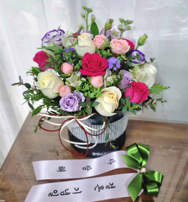 ST-B266