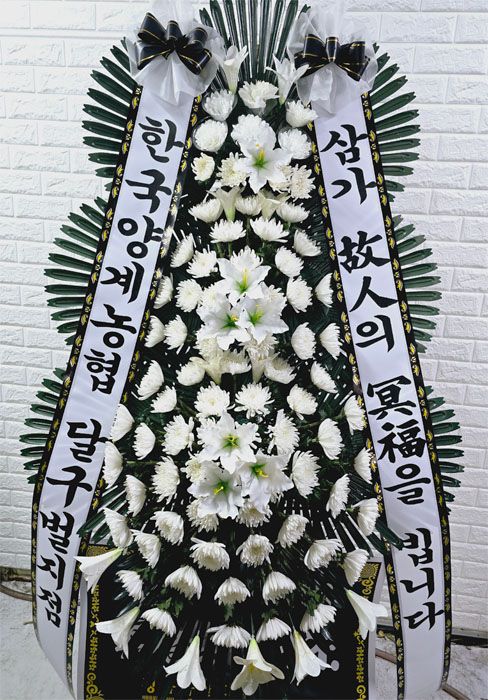 ST-FB226