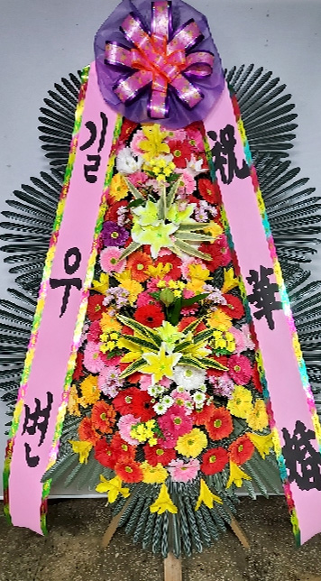 ST-FA064