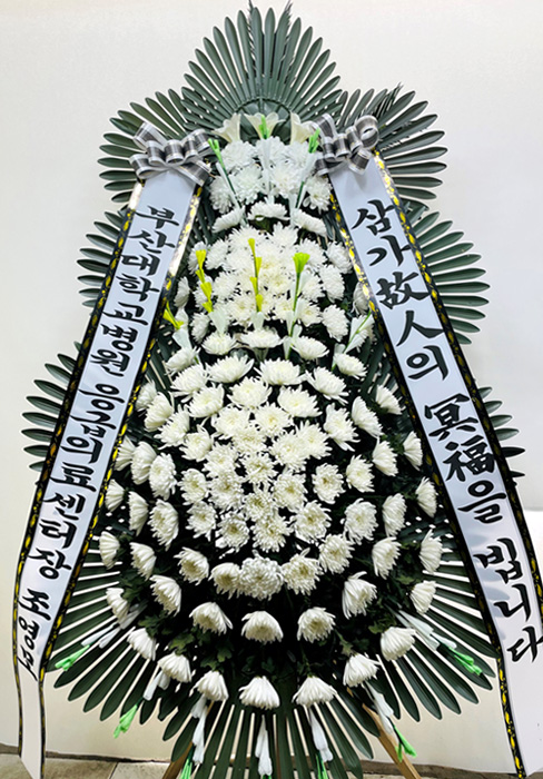 ST-FB233