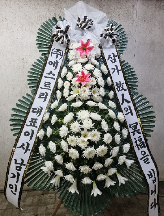 ST-FB141