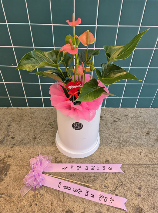 ST-D720