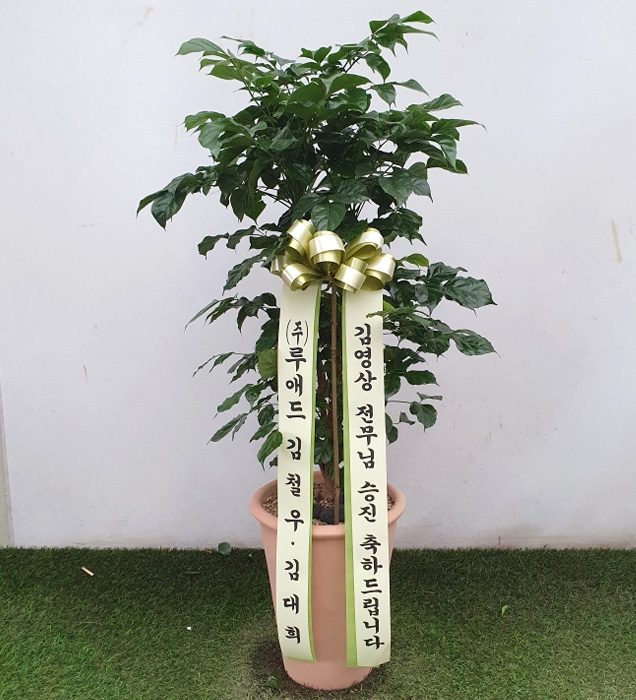 ST-D746