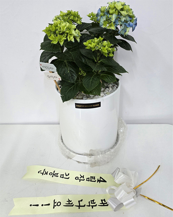ST-D713