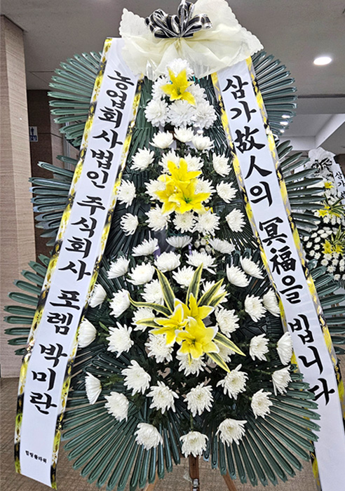 ST-FB226
