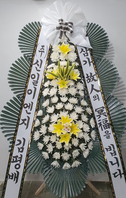 ST-FB141