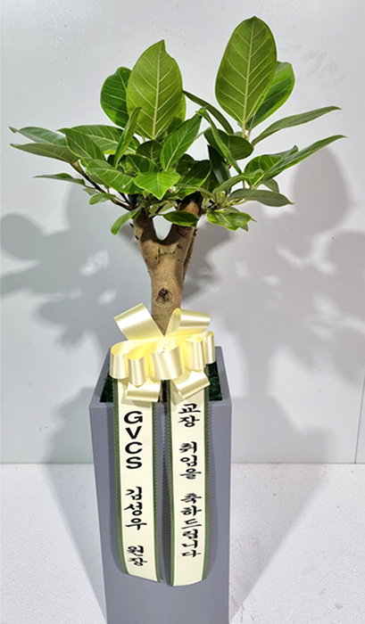 ST-D547