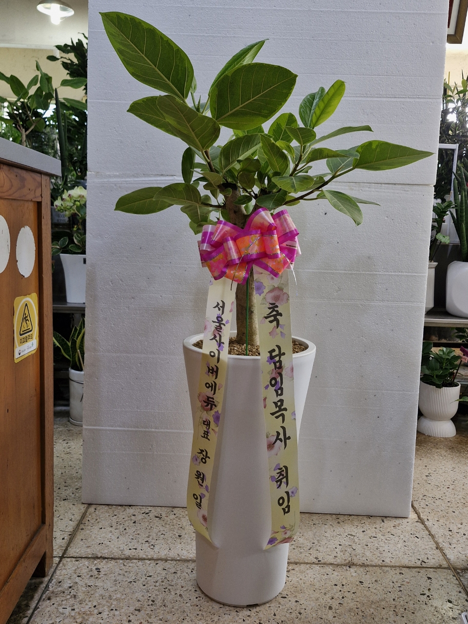 ST-D549