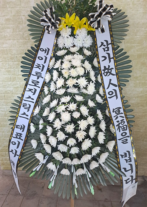 ST-FB233