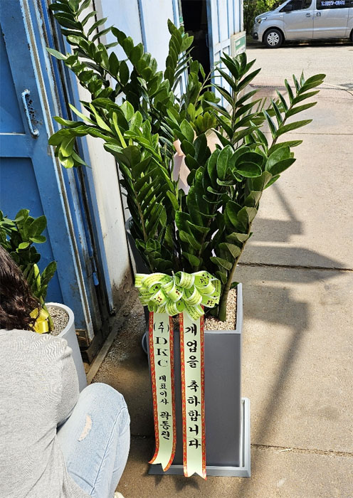 ST-D569