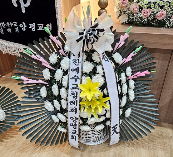 ST-FB255