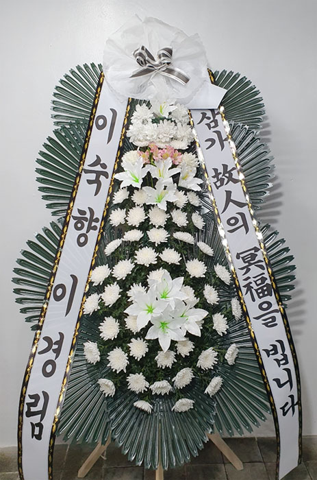 ST-FB226