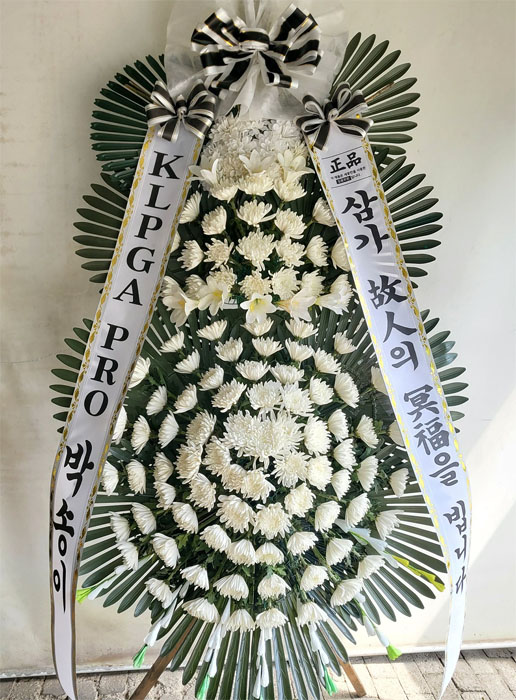 ST-FB233