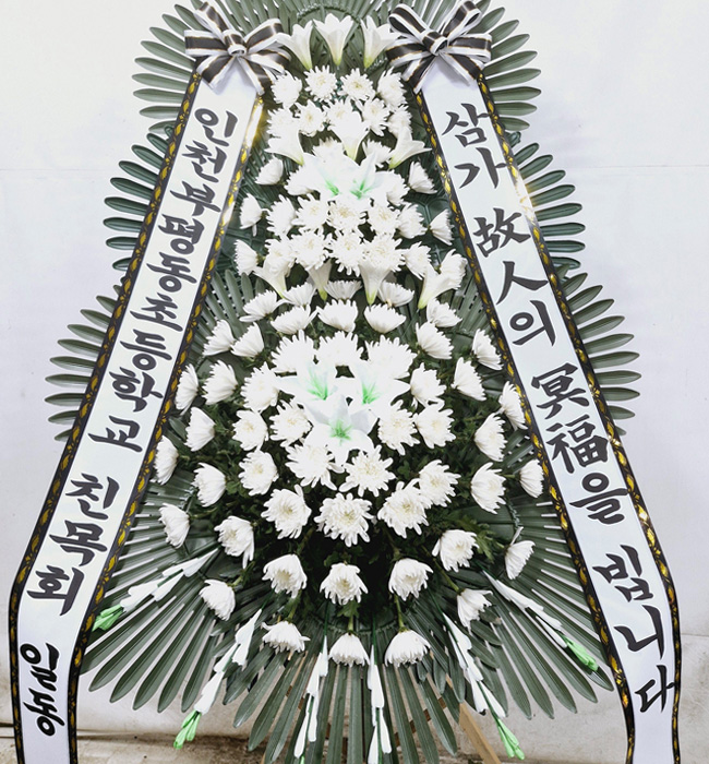 ST-FB233