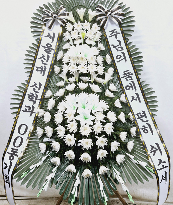 ST-FB233