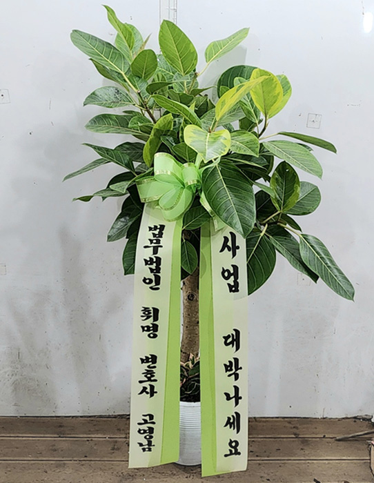 ST-D707