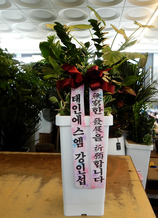 ST-D569